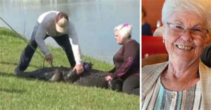 
4 alligators removed from Florida lake near senior community after Gloria Serge, 85, was mauled to death 