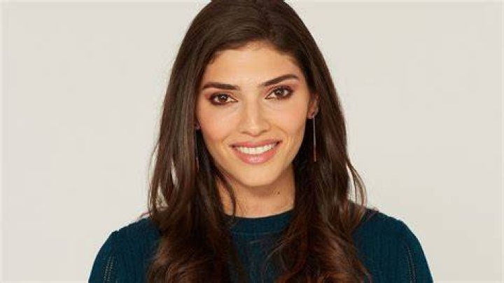 Amanda Setton Height, Weight, Net Worth, Age, Birthday, Wikipedia, Who, Nationality, Biography