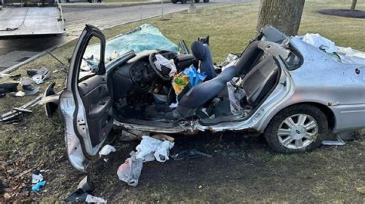 
Anne Heche Alive Or Dead: Car Accident – What Happened To Her? 