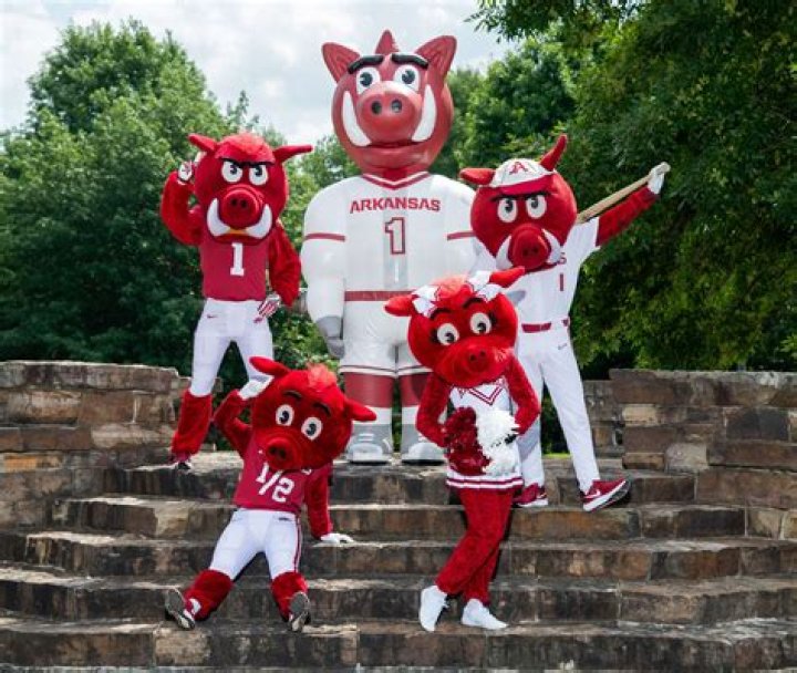 
Arkansas Razorbacks: Who Are Lawson Blake Parents? His Career And Net Worth Details Explored 