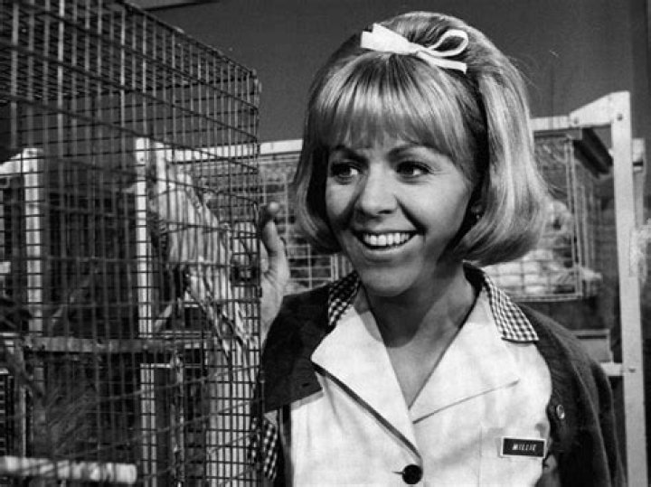 
Arlene Golonka Age, Birthday, Wikipedia, Who, Nationality, Biography 