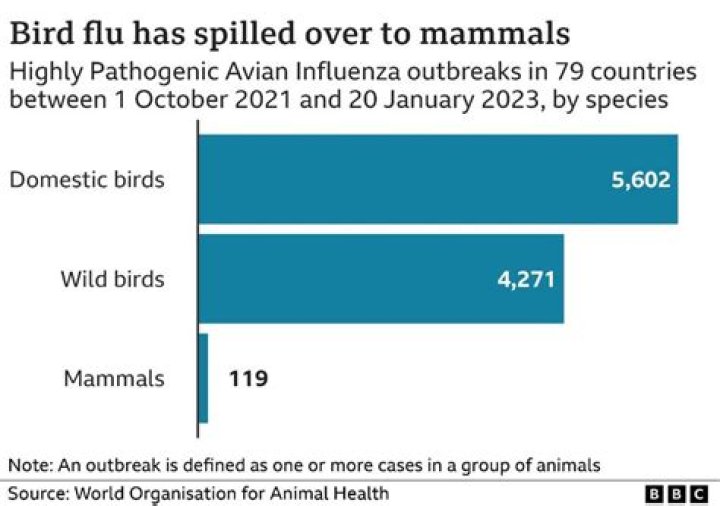 
Avian Flu Kills Record 50.54 Million U.S. Birds, Making It Worst Outbreak in History 
