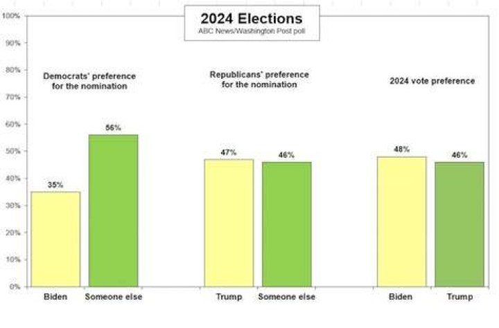 
Biden struggles, as does his party, as most Democrats look elsewhere for 2024: POLL 