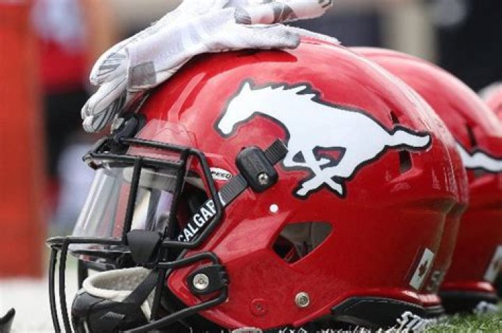 
Canadian Football Player, Harry Langford, dies at 92 