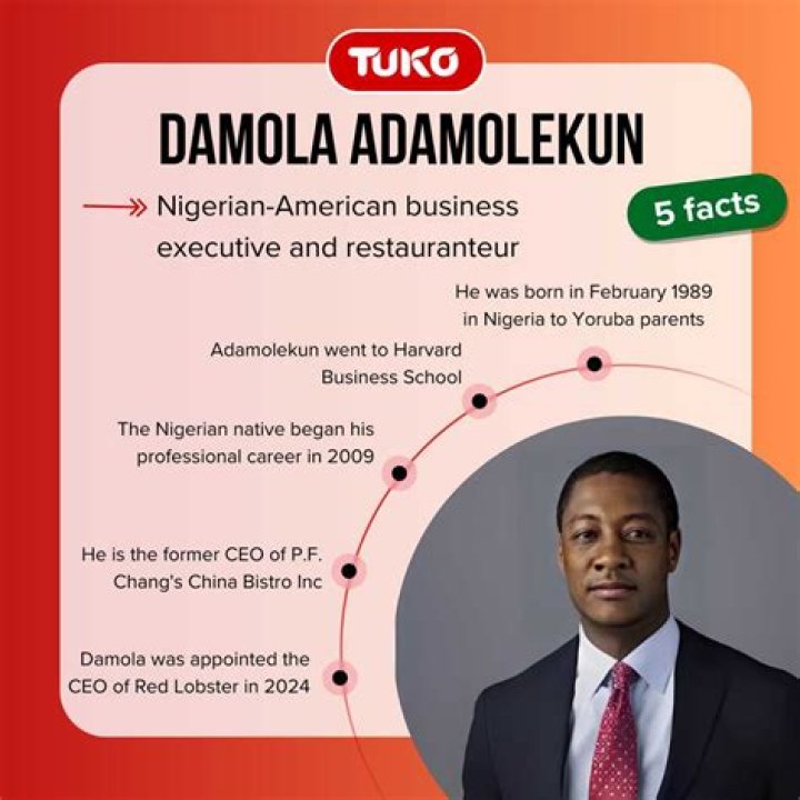 Damola Adamolekun Height, Weight, Net Worth, Age, Birthday, Wikipedia, Who, Nationality, Biography