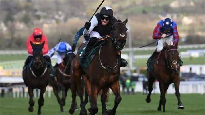 
David Maxwell Jockey Net Worth 2022 