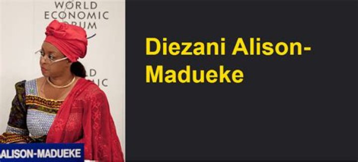 
Diezani Alison-Madueke Net Worth, Age, Birthday, Wikipedia, Who, Nationality, Biography 