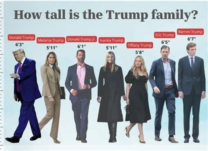 
Donald Trump Jr Height, Weight, Net Worth, Age, Birthday, Wikipedia, Who, Nationality, Biography 