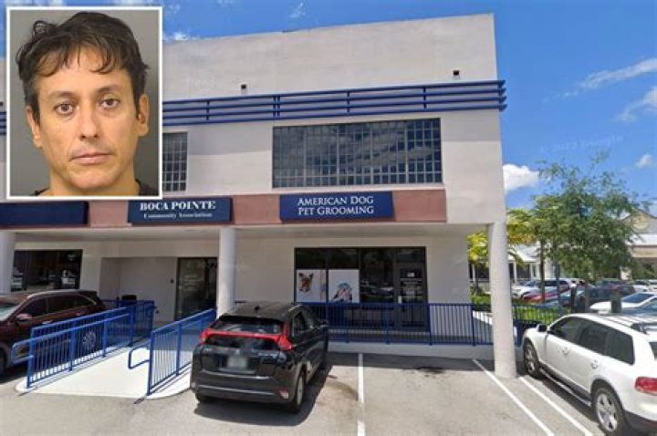 
Florida dog groomer accused of hitting, pulling hair of pets in his care 