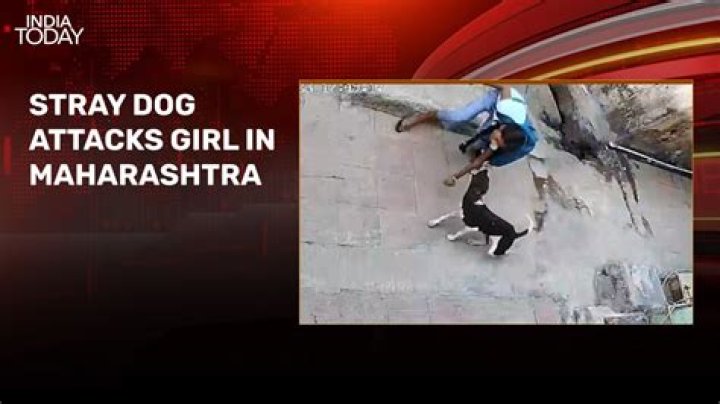 
Gujarat youth attacks girl in one-sided love affair 