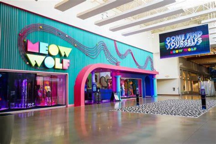 
How Did Meow Wolf Founder Matt King Die? All Details About His Podcast And Obituary Details 