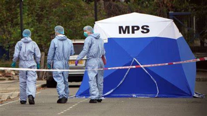 
How did Thomas O’Halloran die? Elderly Irish man stabbed to death in an attack in London. 
