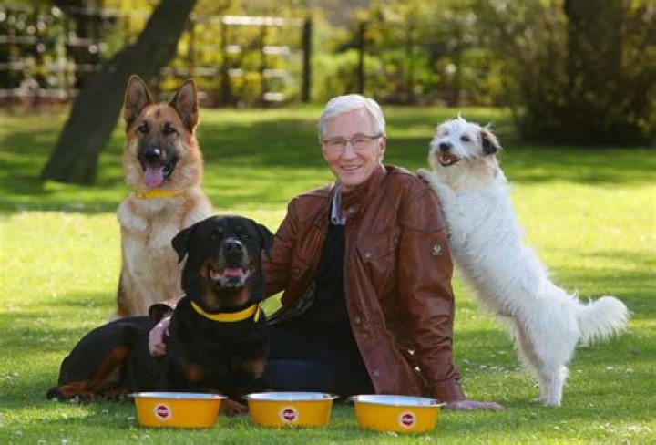 
How many dogs did Paul O’Grady have? Names explored as Battersea Home pays tribute 