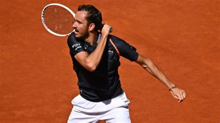 
Is Daniil Medvedev Related To Andrei Medvedev? 