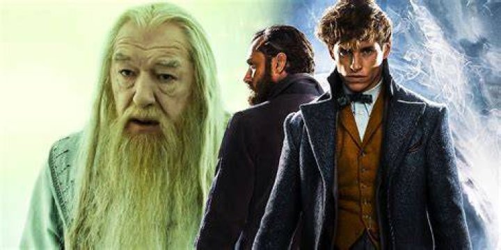 
Is Dumbledore gay? When Was He Confirmed To Be Gay? 