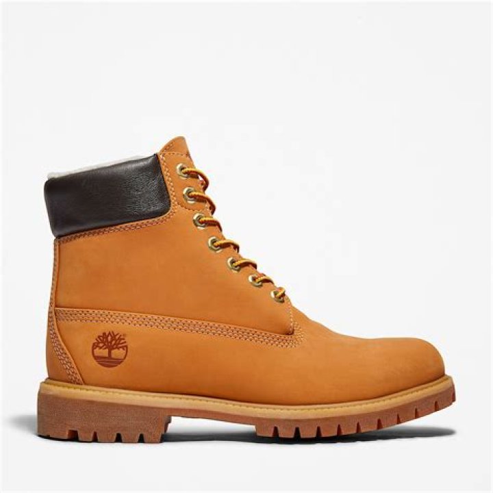
Is Marlon Botas Arrested? 