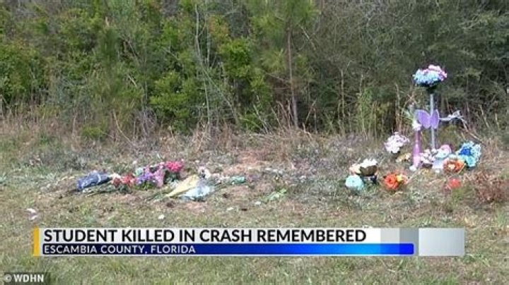 
Kara Santorelli car accident: Tributes pour in as GoFundMe raises more than $22,000 for 18-year old TikToker 
