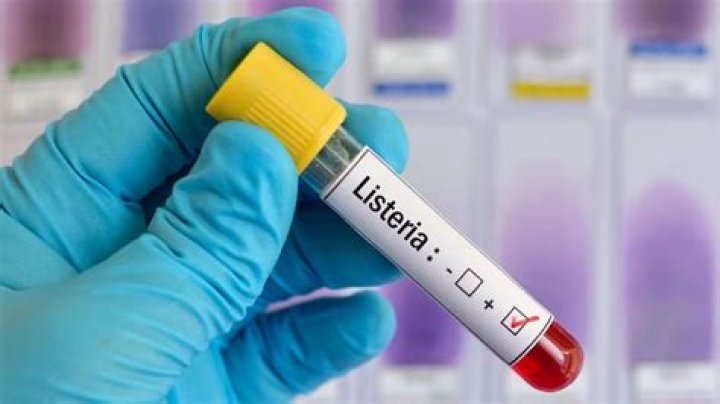 
Listeria Contamination recall: From sandwiches to salads, all you need to know 