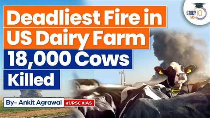
“Our infrastructure is being sabotaged”: Dairy Farm explosion which left 18,000 cows dead in Texas sparks concern online 