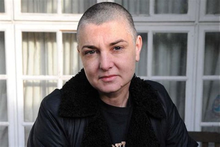 
Patricia O’Connor Age, Birthday, Wikipedia, Who, Nationality, Biography 