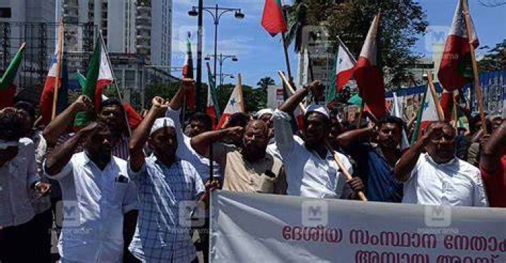 
PFI created several dummy organisations to fool agencies: Sources 