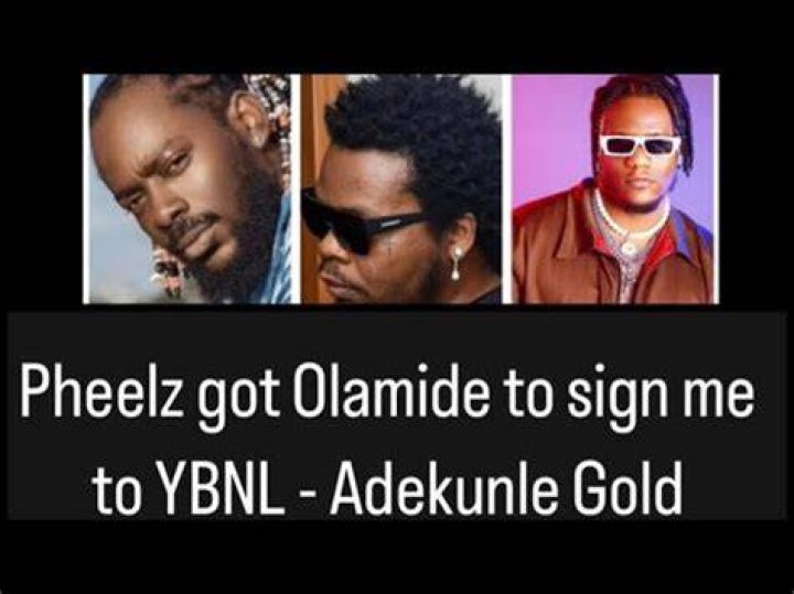 
Pheelz Got Me Signed To YBNL – Adekunle Gold 
