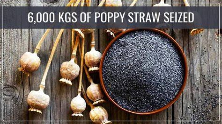 
Poppy straw narcotics worth Rs 30 crore seized in Kolkata 