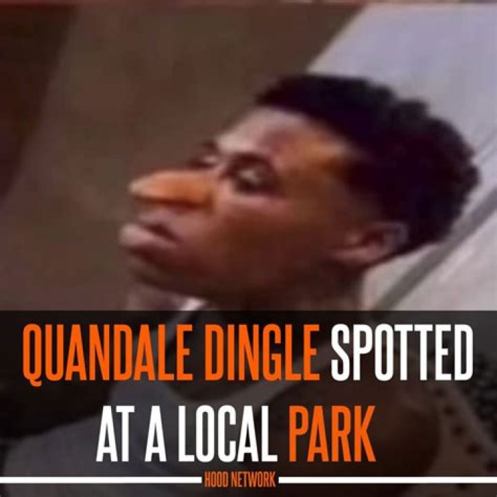 
Quandale Dingle Fairy Meme Explained Is He A Real Person, Who Is He? 