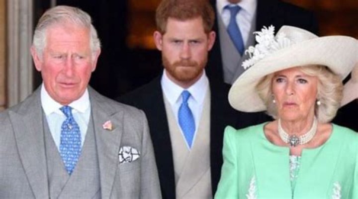 
‘Ridiculous!’ Charles, Camilla bemused with Harry’s suggestion to use mediator 