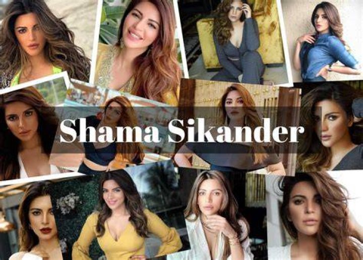 Shama Sikander Height, Weight, Net Worth, Age, Birthday, Wikipedia, Who, Instagram, Biography