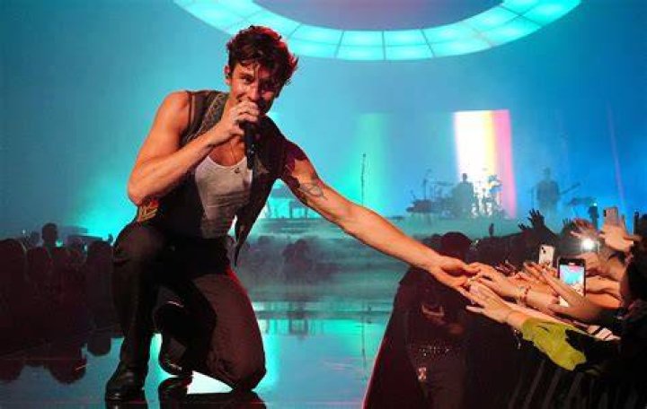 
Shawn Mendes Has Cancelled His World Tour To Concentrate On His Mental Health 