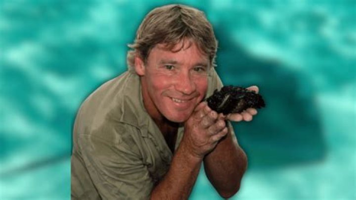 
Steve Gordon Obituary, What was Steve Gordon Cause of Death? 