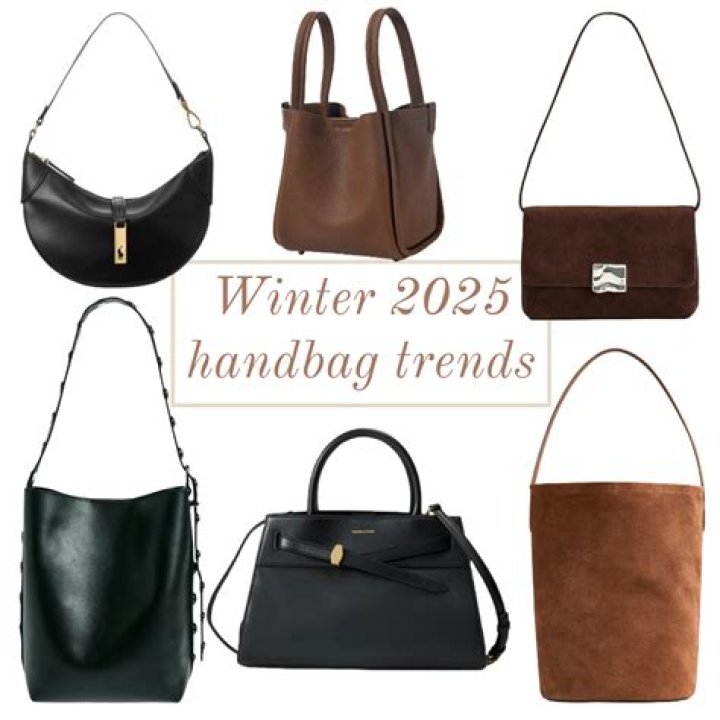
Steve Madden TikTok Bag Trend: Why Is This Tote Bag And Purse Getting Viral And How To Get It? 