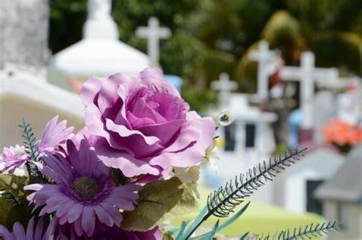 
Taylor Guerra Obituary And Death Cause: Family Mourns The Loss 