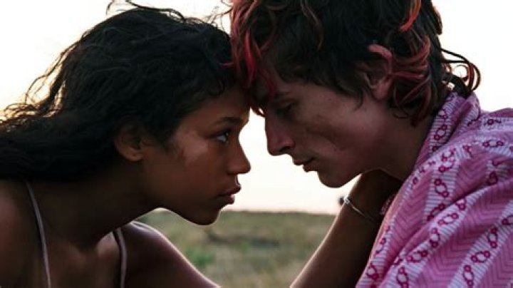 
Timothée Chalamet And Taylor Russell Are Hungry For Love In The New Bones And All Trailer 