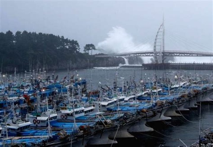 
Typhoon Nanmadol predicted to affect S.Korea from Sunday 
