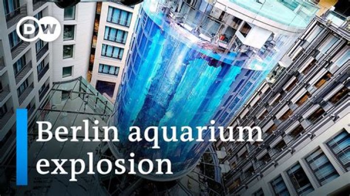 
Watch Video: How did the Berlin Aquarium Burst happen? Cause Explored 