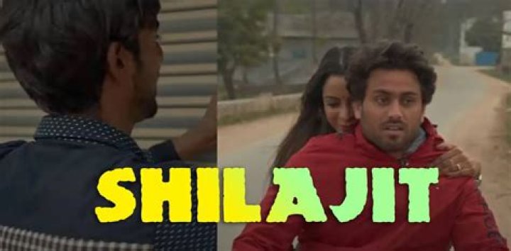 
Web Series Cast: Who is the Cast in Shilajit Web Series? 