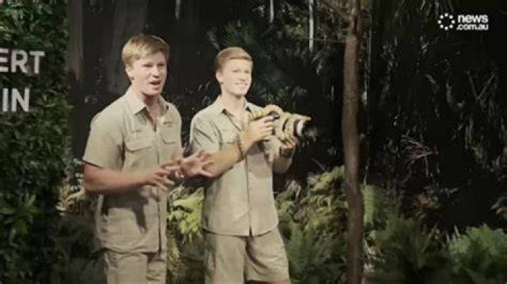 What Happened To Robert Irwin And Where Is He Now?