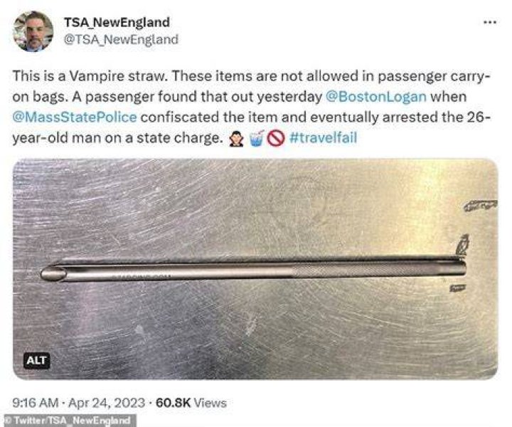
What is a vampire straw? Passenger arrested at Boston airport for carrying titanium weapon 