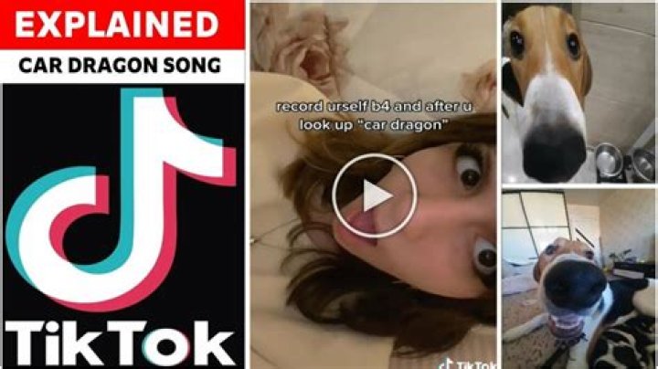 
What Is Car Dragon Tiktok? Urban Dictionary Meaning About The New Trend 