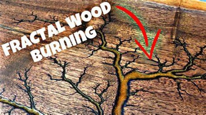 
What Is The Fractal Wood Burning Tiktok Trend? Dangerous New Art Technique Cost The Life Of Wisconsin Couple 
