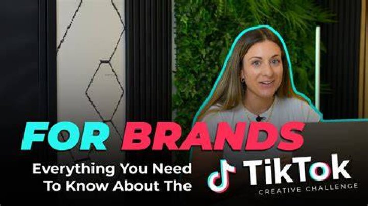 What Is The Name Logo Challenge On TikTok? How To Do The Name Logo Challenge?