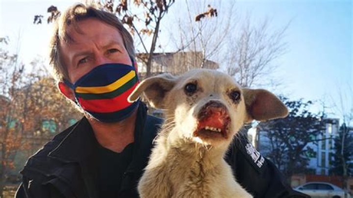 
Where Is Pen Farthing Now? Facts To Know About The Founder Of Nowzad Dogs Charity 