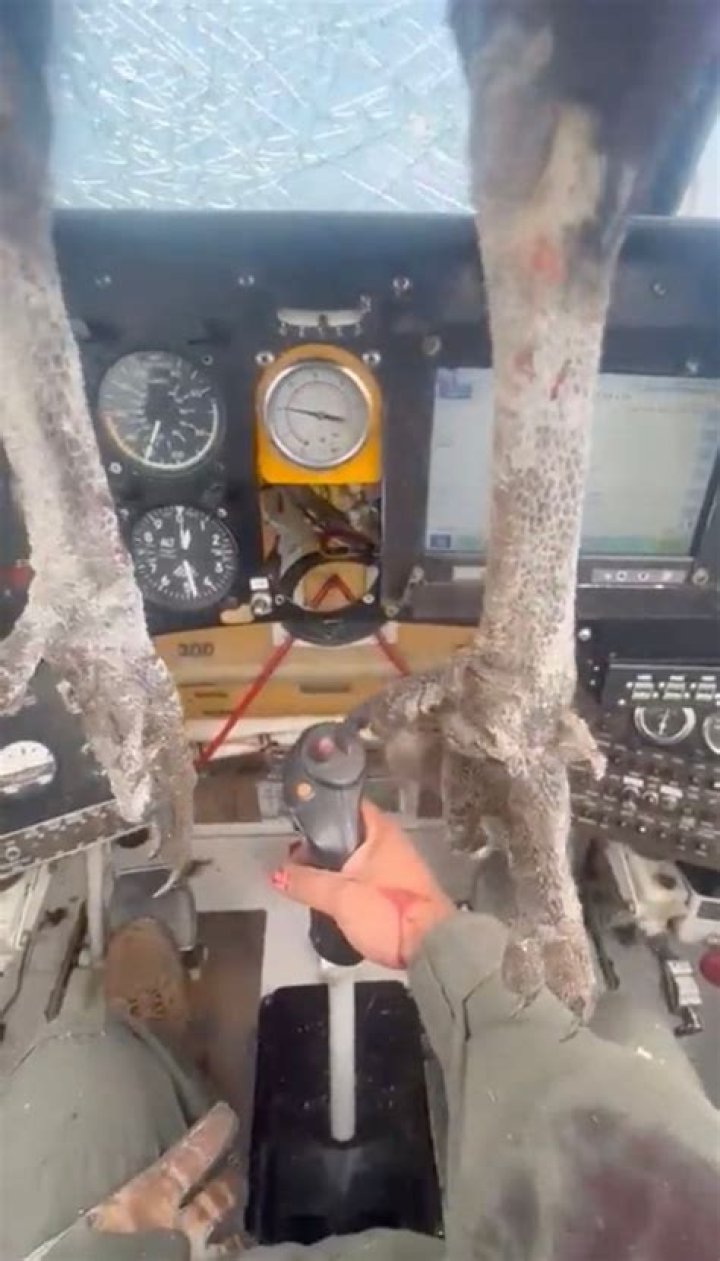 
Who is Ariel Valiente? Blood-soaked Ecuadorian pilot keeps calm after bird crashes into cockpit 