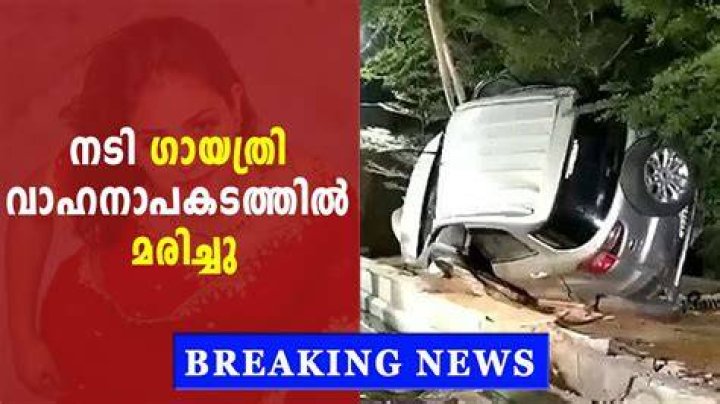 
Who Is Dolly D Cruze aka Gayathri? Car Accident Video On Twitter and Instagram 