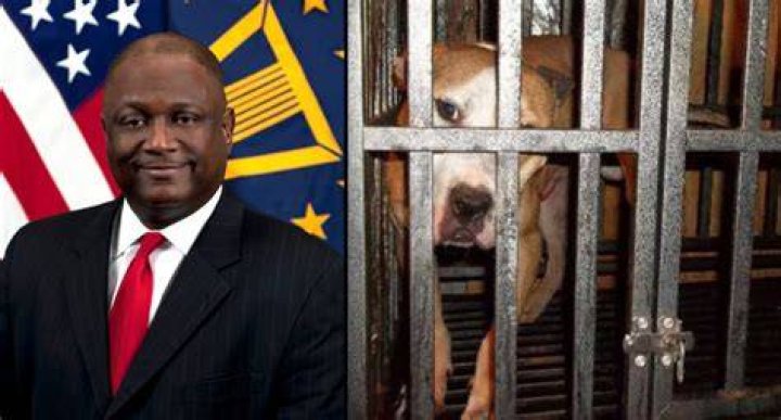 Who is Frederick Douglass Moorefield Jr.? Pentagon official accused of running illegal dog fight ring