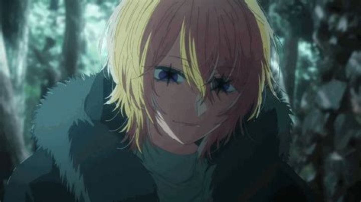 
Who Is Hikaru Kamiki | Oshi No Ko Father Real Or Not 