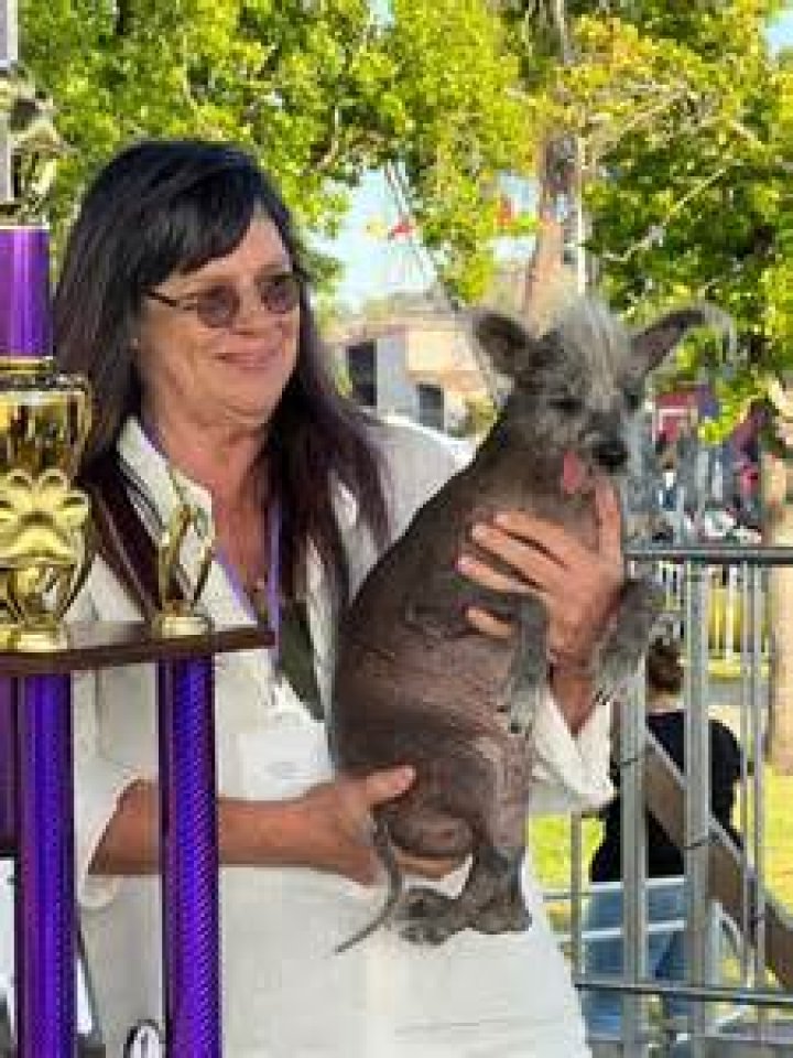 
Who is Linda Elmquist, owner of Scooter, the ugliest dog of 2023? 