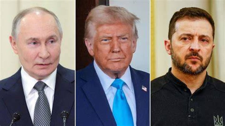 
Who Is President Volodymyr Zelenskyy Advisor? Meet Igor Novikov, Ukraine’s Man To Watch 